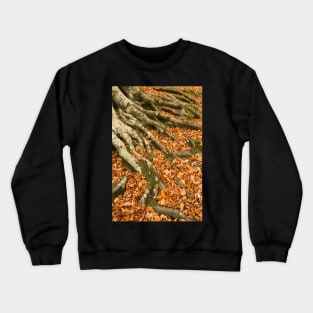 Grasmere Fall Crewneck Sweatshirt